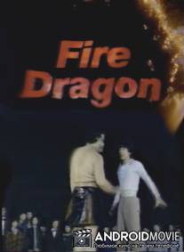 Огненный дракон / Huo long