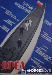 Орел / Orzel