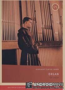 Орган / Organ