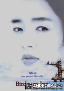 Отель `Птичья клетка` / Paran daemun