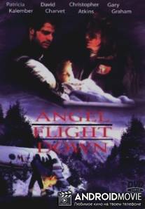 Падение борта `Ангел` / Angel Flight Down