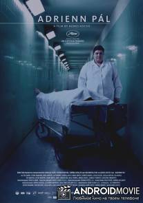Пал Адриенн / Pal Adrienn