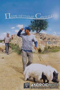 Перелетные свиньи / When Pigs Have Wings