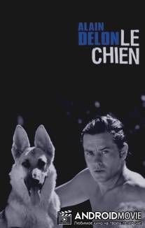 Пес / Le chien