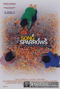 Песня соловьев / Avaze gonjeshk-ha