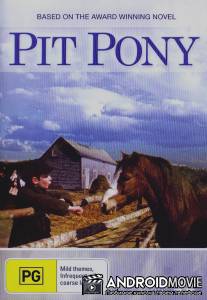Pit Pony