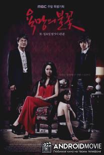 Пламя желаний / Yokmangeui Bulkkot