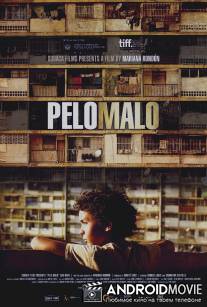 Плохая прическа / Pelo malo