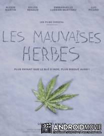 Плохие семена / Les mauvaises herbes