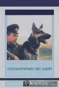 Пограничный пес Алый / Pogranichnyy pyos Alyy
