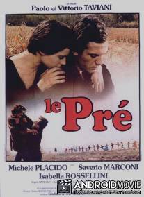 Поляна / Il prato