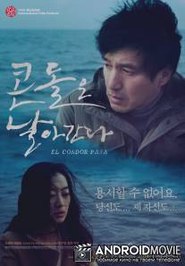 Полёт кондора / Kondoleun Nalaganda