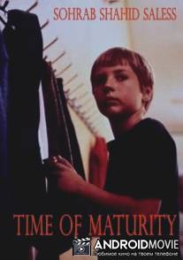 Пора созревания / Reifezeit