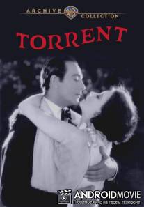 Поток / Torrent