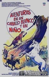 Приключения белого коня и мальчика / Aventuras de un caballo blanco y un nino