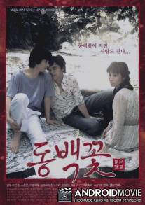 Проект Камелия / Dongbaek-kkot