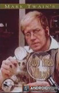 Простофиля Вильсон / Pudd'nhead Wilson