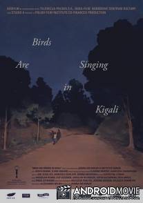 Птицы поют в Кигали / Ptaki spiewaja w Kigali