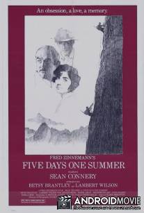 Пять дней лета / Five Days One Summer