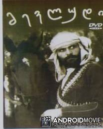 Пять тысяч за голову Мевлуда / Mevludi