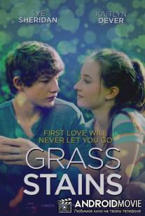 Пятна от травы / Grass Stains