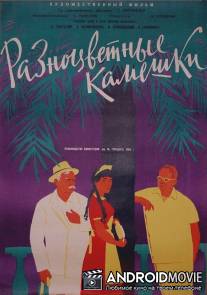 Разноцветные камешки / Raznotsvetnye kameshki