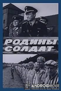 Родины солдат