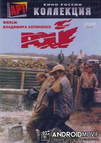 Рой / Roy