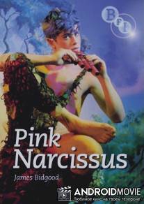 Розовый нарцисс / Pink Narcissus