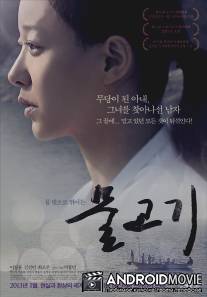 Рыба / Mul-go-gi