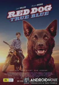 Рыжий: вся правда / Red Dog: True Blue