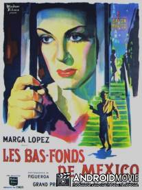 Салон 'Мехико' / Salon Mexico