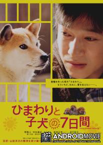 Семь дней Химавари и ее щенков / Himawari to koinu no nanokakan