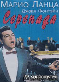 Серенада / Serenade