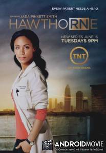 Сестра Готорн / Hawthorne