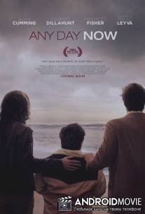 Сейчас или никогда / Any Day Now