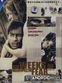 Шесть недель страха / Verschleppt - Kein Weg zuruck