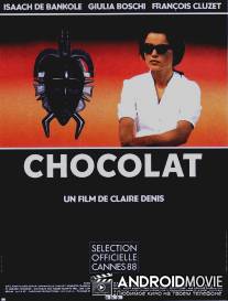 Шоколад / Chocolat