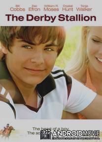 Скакун Дерби / Derby Stallion, The