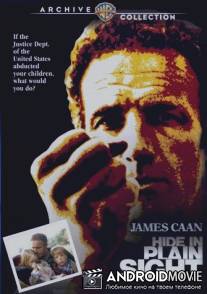 Скрой у всех на виду / Hide in Plain Sight