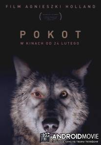 След зверя / Pokot