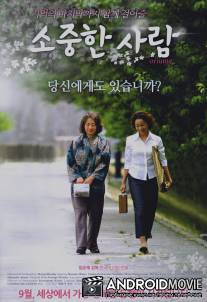 Сложенные веточки абрикоса / Oriume