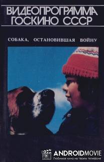 Собака, остановившая войну / La guerre des tuques