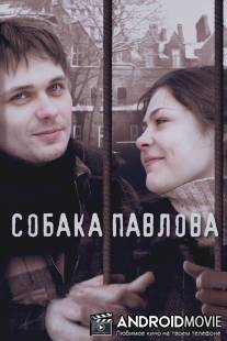 Собака Павлова / Sobaka Pavlova