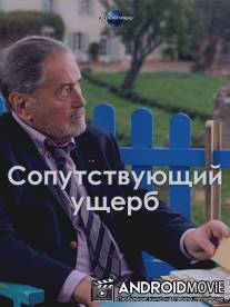 Сопутствующий ущерб / Dommages collatéraux