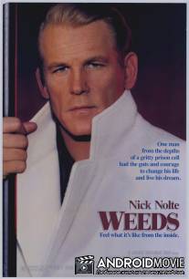 Сорняки / Weeds