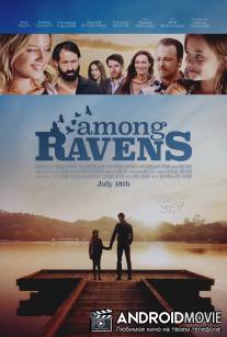 Среди воронов / Among Ravens