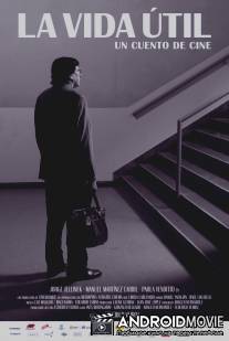 Срок годности / La vida util