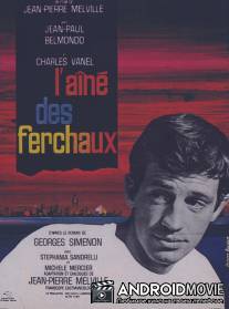 Старший Фершо / L'aine des Ferchaux