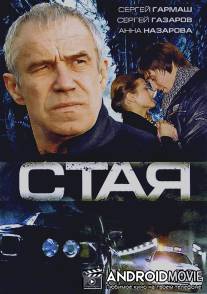 Стая / Staya